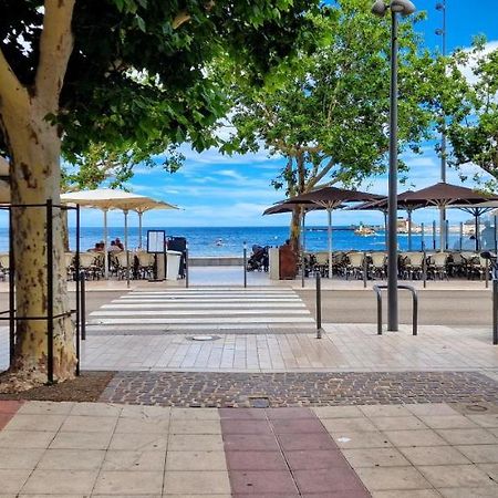 Appartement En Bord De Mer 3 Банию-сюр-Мер Екстериор снимка